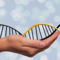 7 Most Common Genetic Diseases