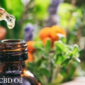 CBD Oil for Migraines - Benefits, and Risks
