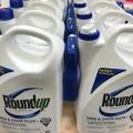 Bayer AG Shareholder Sues After Roundup Cancer Lawsuits