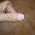 Which Nail Repair Gel Lasts the Longest?