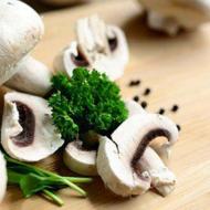 The Main Health Benefits of Mushrooms