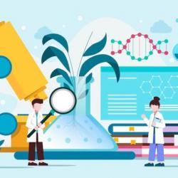 From Lab to Market: The Journey of Phenazepam Synthesis and its Implications in the Pharmaceutical Industry