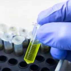 How Understanding Antibodies Can Help Regulate the Immune System